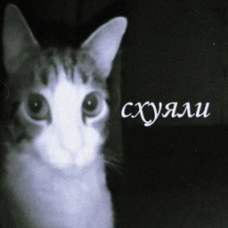 Ника