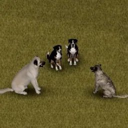 Livestock Guardians - Анатолийская овчарка и большой швейцарский зенненхунд для Project Zomboid