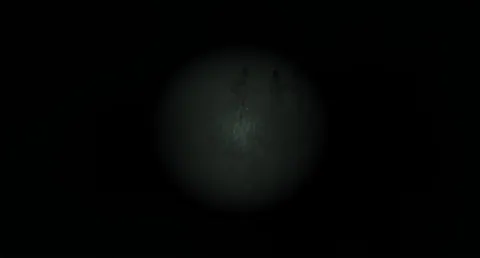 The Ark — Life Below the Ruins of Project Zomboid