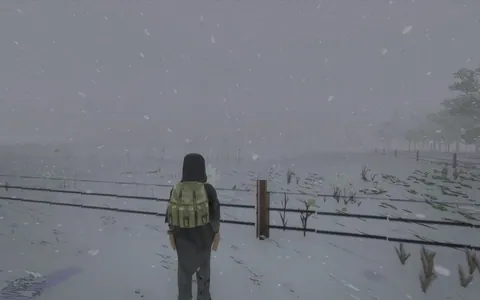 Project Viewpoint: True Weathers & Lighting