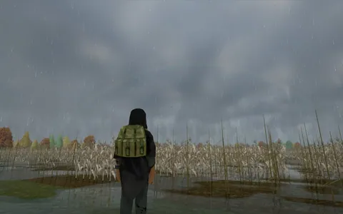 Project Viewpoint: True Weathers & Lighting