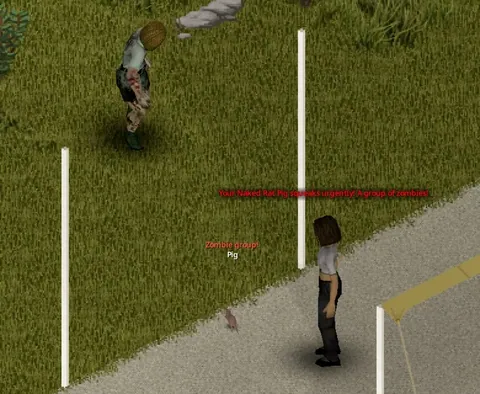 CD: Fancy Rats - Scout Companions and Optional Battle Rats for Project Zomboid