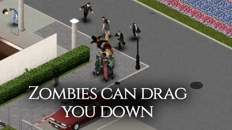 Horse Mod — Explore Project Zomboid on Horseback